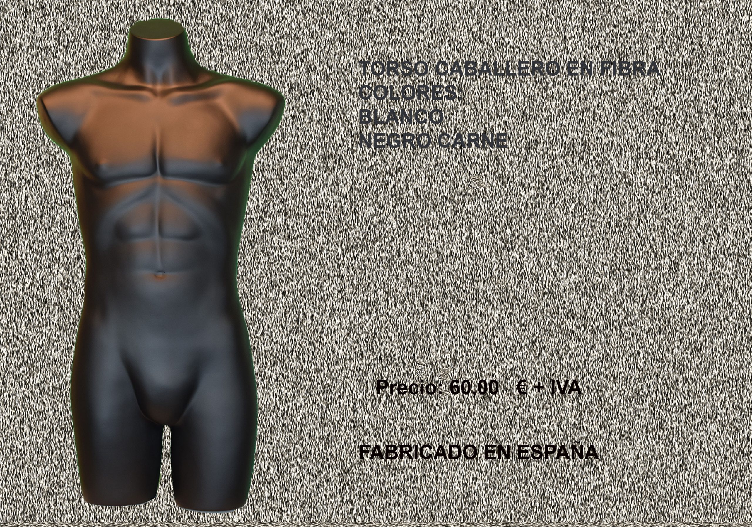 TORSOS CABALLERO