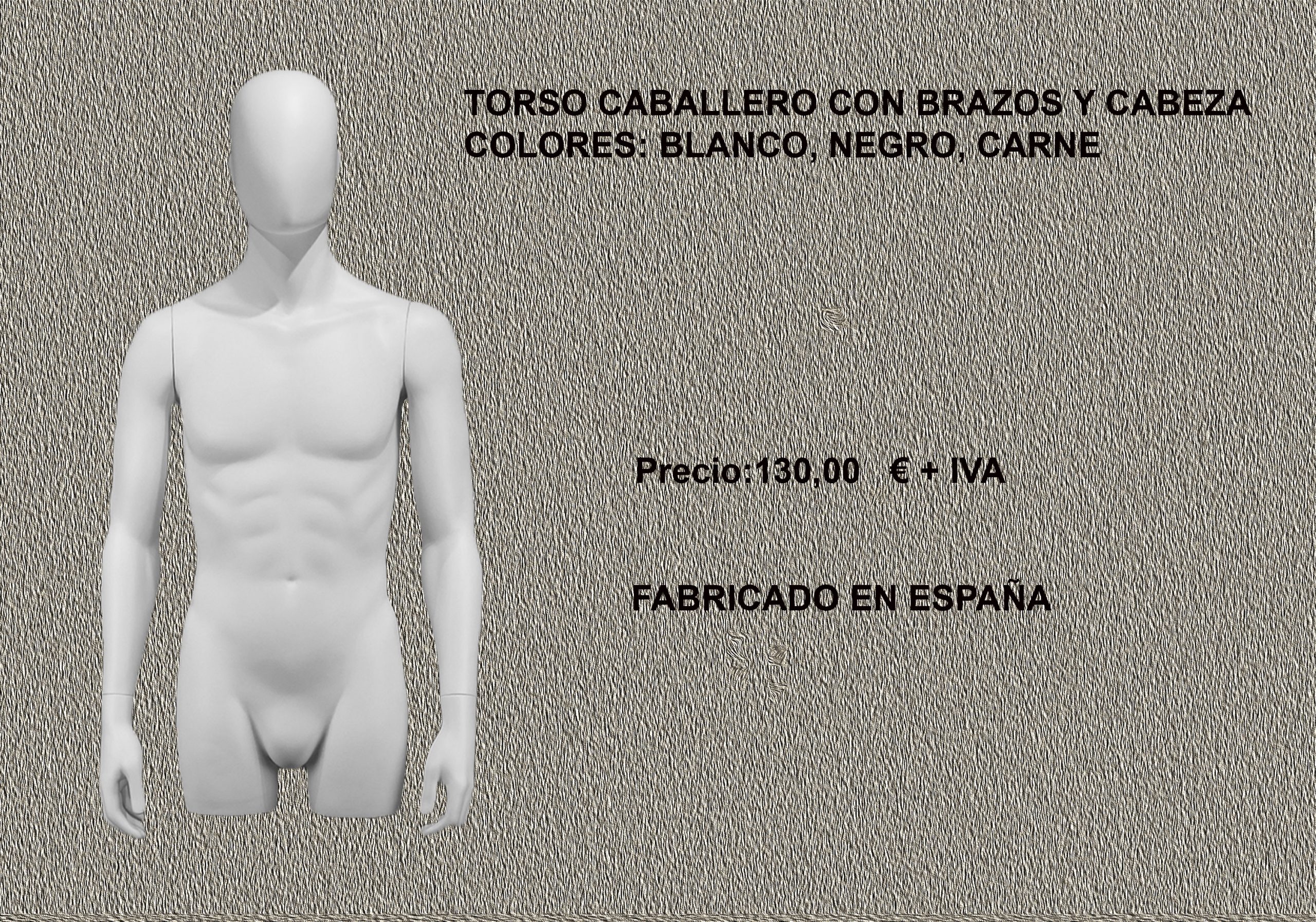 TORSOS CABALLERO