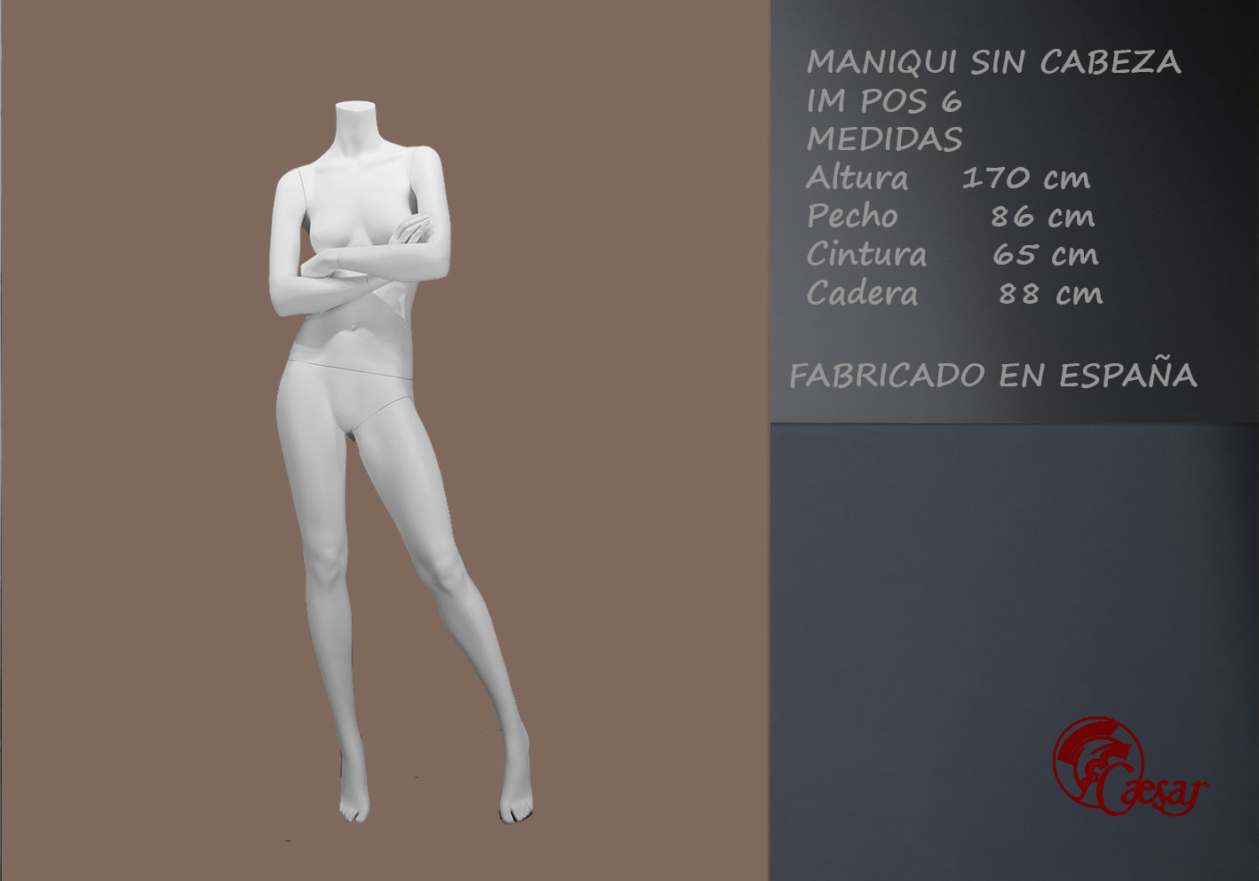 MANIQUI SEÑORA SIN CABEZA