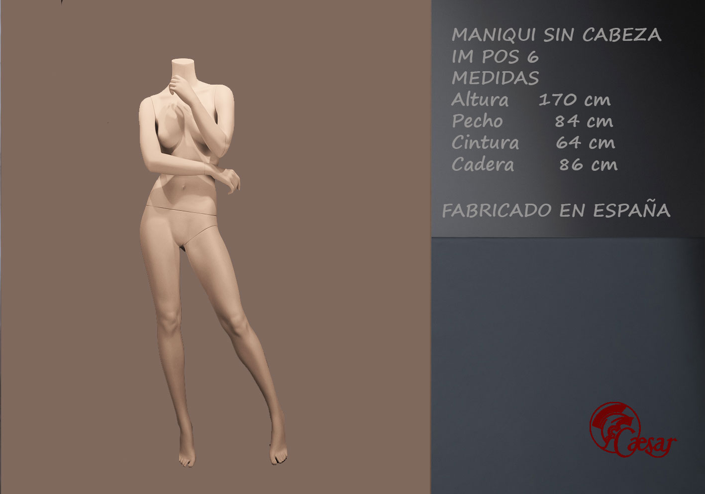 MANIQUI SEÑORA SIN CABEZA