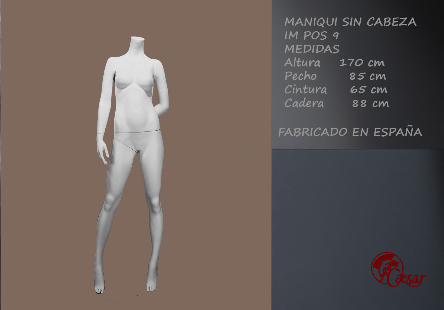 MANIQUI SEÑORA SIN CABEZA